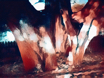 processen06.jpg
